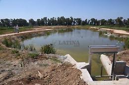 La fitodepurazione torna ad Acqualatina