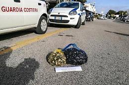 Pesce non tracciato, scatta il sequestro