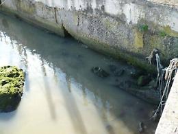 Inquinamento, liquami in mare all'altezza della torre di Mola (LA GALLERY)