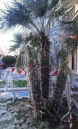 Il risveglio di Anzio: stalattiti sulle palme e fontana ghiacciata