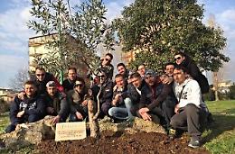 Un albero nel parco per ricordare Diego Santangelo 