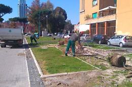 Arrivano gli aceri in viale Italia, avviata la piantumazione