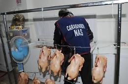 I Nas sequestrano 15 tonnellate di carne
