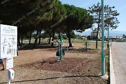 "Lbc cancella un altro pezzo di verde per realizzare un parcheggio"