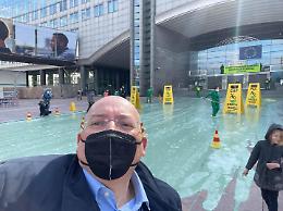 Assalto di Greepeace all'Europarlamento con...  la vernice