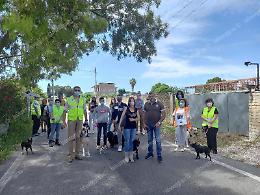 Cane ucciso a bastonate, sit-in a Fossignano per chiedere giustizia