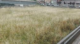 Erba altissima nella buca ex Cral: «Il Comune predica bene e razzola male»
