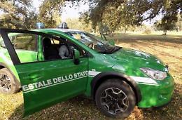 Smaltiva rifiuti speciali in via Nascosa, denunciato dai carabinieri