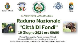 Cani di razza: boom di iscritti al raduno nazionale “Città di Fondi”
