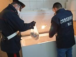 Sequestro di generi alimentari in un negozio, denunciato un 40enne