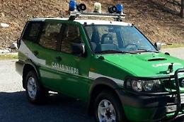 Violazione dei sigilli, un 50enne denunciato dai carabinieri del Nipaaf