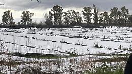 Agricoltura, Onorati: "Nuovi indennizzi per i danni del maltempo nel 2017"