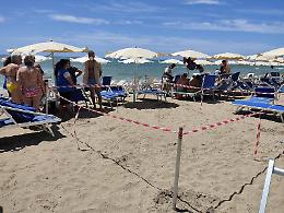 Tartaruga depone le uova tra sdraio e ombrelloni. Scatta il piano salvataggio