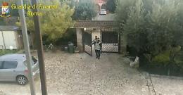 Oltre un quintale di bulbi di papavero da oppio: sequestri anche ad Aprilia