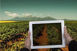 Agroalimentare Il rilancio passa dai giovani imprenditori