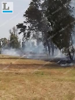 Vasto incendio a ridosso della Pontina: operazioni di spegnimento in corso