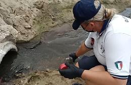 Altro liquame sulla spiaggia di Vindicio, scatta l'ordinanza