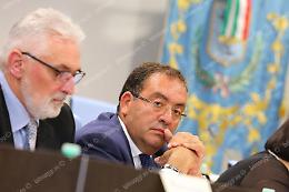 Terra: «Pinqua, basta con le ricostruzioni fantasiose su Ex Dogana e stadio»