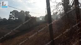 Nuovo allarme incendi: rogo scoppiato al Piccarello e domato