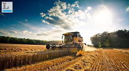 La folle corsa ad acquistare terreni agricoli... ad ogni costo