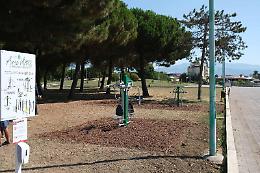 Festa dell'Albero, al via la piantumazione al parco San Marco