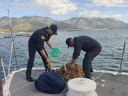 Controlli serrati nel sud Pontino: sette denunce e decine di perquisizioni