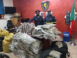 Traffico di droga, 3 arresti. Hashish e marijuana nascosti tra i peperoni