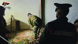 Ndrangheta sul litorale, il ruolo di Madaffari nel caso Palli ad Aprilia