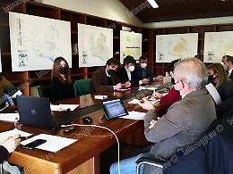Commissioni consiliari in modalità mista, un flop annunciato