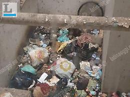 Storie da Bronx nel condominio, Palazzo di Vetro senza regole