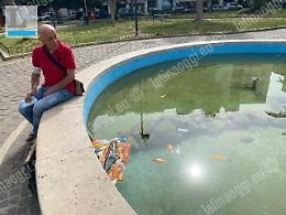 Sterminati  i pesci della fontana, ultimo sfregio in piazza Santa Maria Goretti