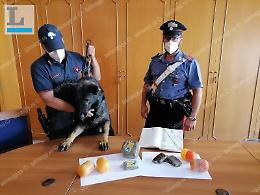 Traffico di droga dal Marocco, i nomi degli arrestati dai carabinieri