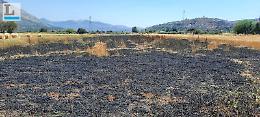 Incendio a Colle San Pietro: fiamme a ridosso delle abitazioni