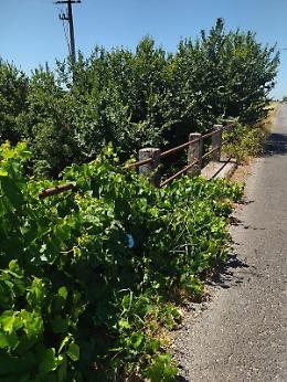 Via del campo, rifiuti e frigoriferi gettati nel fosso della Ficoccia