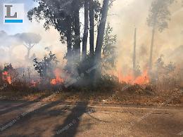 Allarme incendi in città: violento rogo tra via Nascosa e via Isonzo