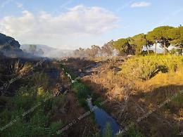 Incendio a Borgo Podgora: il fuoco sulle rive del Canale Mussolini
