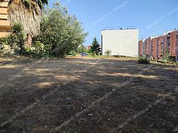 Un'area verde da “adottare” : il  sogno di un parco inclusivo
