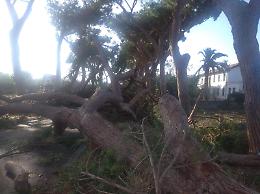 Tromba d'aria, riaperta l'Appia. Adesso si contano i danni del maltempo