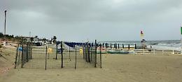 Divieti in spiaggia per salvare le tartarughe: l'ordinanza