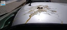 Lancia olio bollente e bottiglie dalla finestra, ieri il Tso