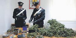 Prende il reddito di cittadinanza e arrotonda con la droga: arrestato