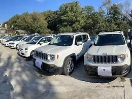 Auto rubate e contraffatte: arrestata una persona indagata per riciclaggio