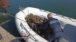 Pesca illegale nelle acque del Circeo, sequestro della Guardia Costiera