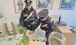 Spaccio di droga, arrestato un insospettabile di 33 anni