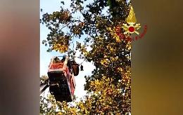Precipita col parapendio in mezzo agli alberi. Illeso
