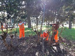 Upper, verso la conclusione il lavoro dei tirocinanti al Parco