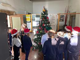 Gli alunni allestiscono l'albero di Natale e il presepio nel municipio