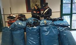 Sul taxi con 53kg di droga, il passeggero si butta dall'auto alla vista dei carabinieri