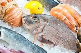 Sequestrati in un ristorante cento chili di pesce pronti per il Natale