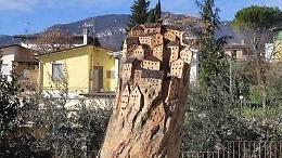 I tronchi degli alberi diventano sculture